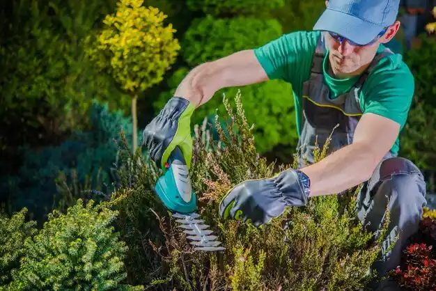 landscaping services Orchard Lake Village